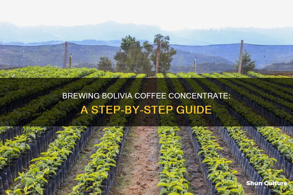 how to make bolivia coffee concentrate