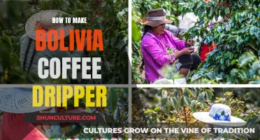 Mastering the Bolivia Coffee Dripper: A Step-by-Step Guide