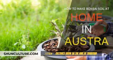 Make Your Own Bonsai Soil: An Australian Guide