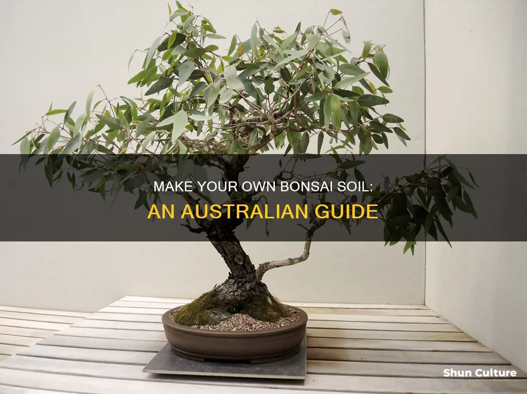 how to make bonsai soil at home in australia
