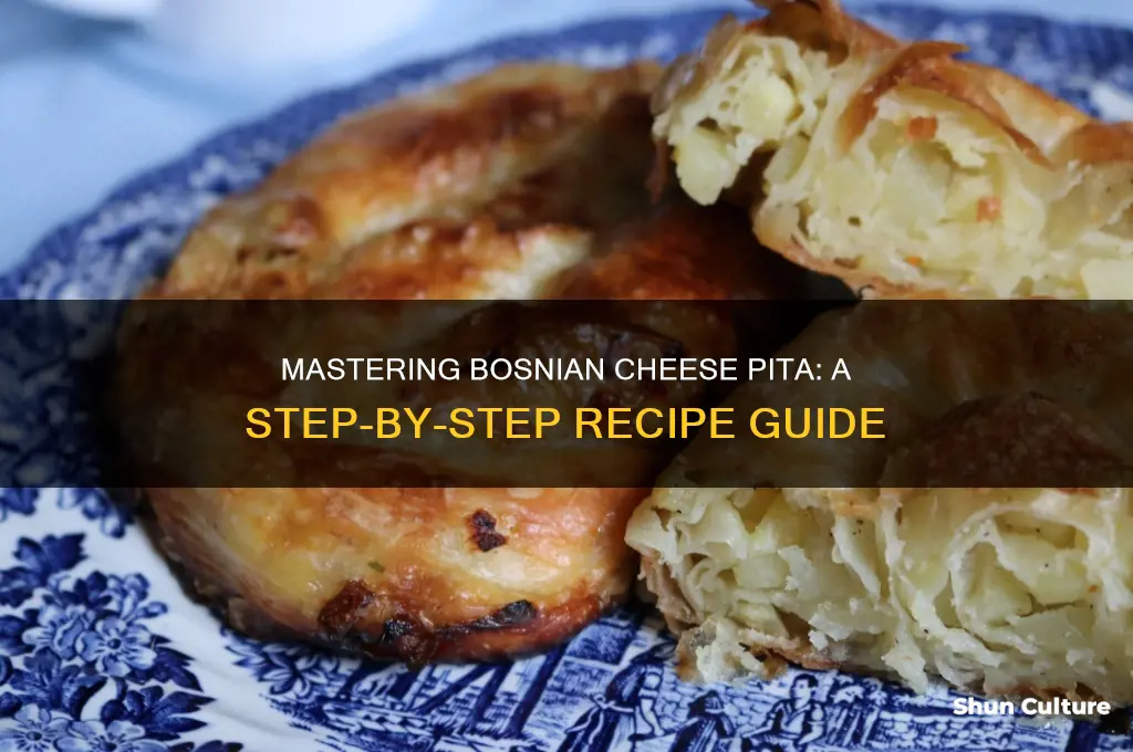 how to make bosnian cheese pita