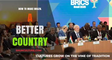 Transforming Brazil: Key Steps to Build a Stronger, More Equitable Nation