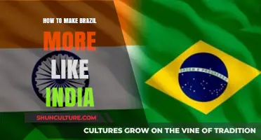 Transforming Brazil: Embracing Indian Innovations for Economic and Cultural Growth