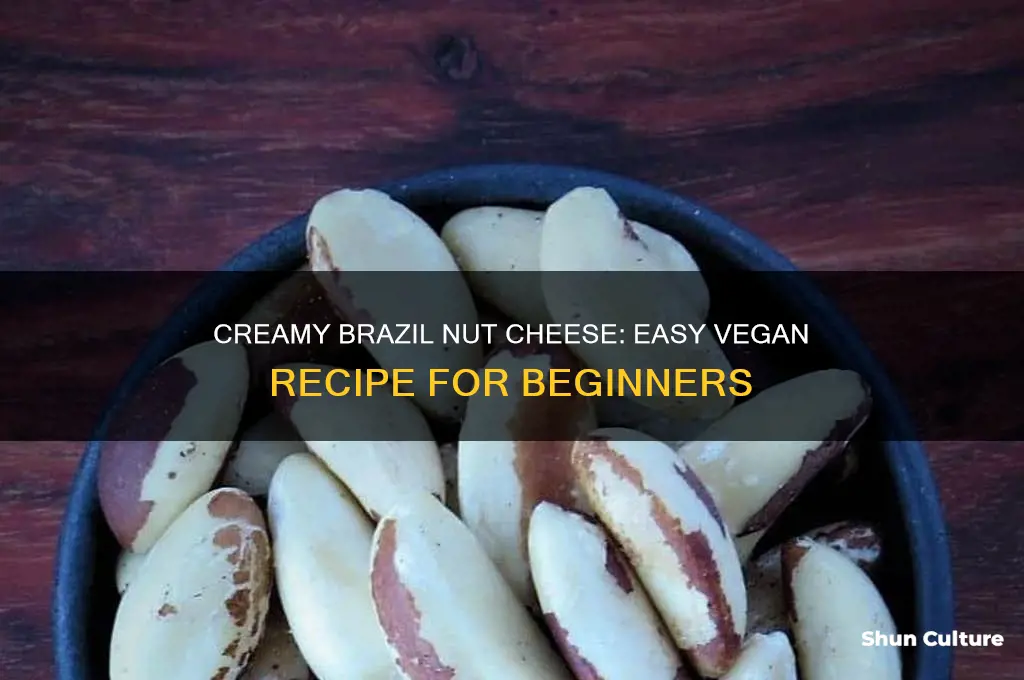 how to make brazil nut cheese
