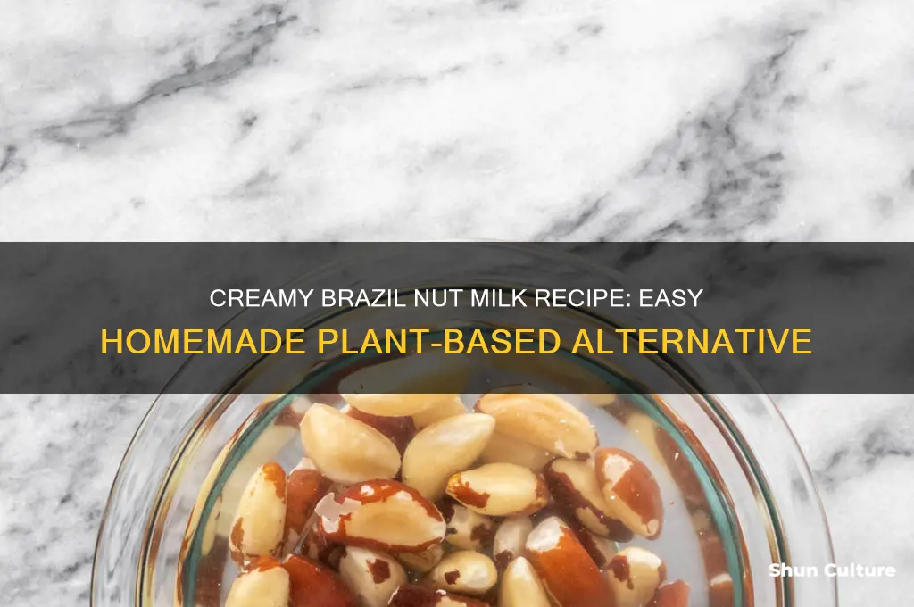 how to make brazil nut milk