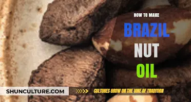 Crafting Brazil Nut Oil: A Simple DIY Extraction Guide
