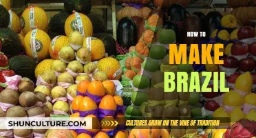 Crafting Brazil: A Step-by-Step Guide to Its Culture and Identity