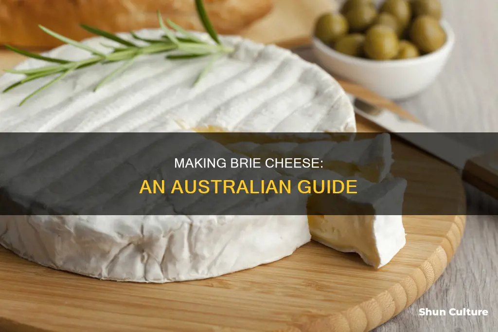 how to make brie cheese australia