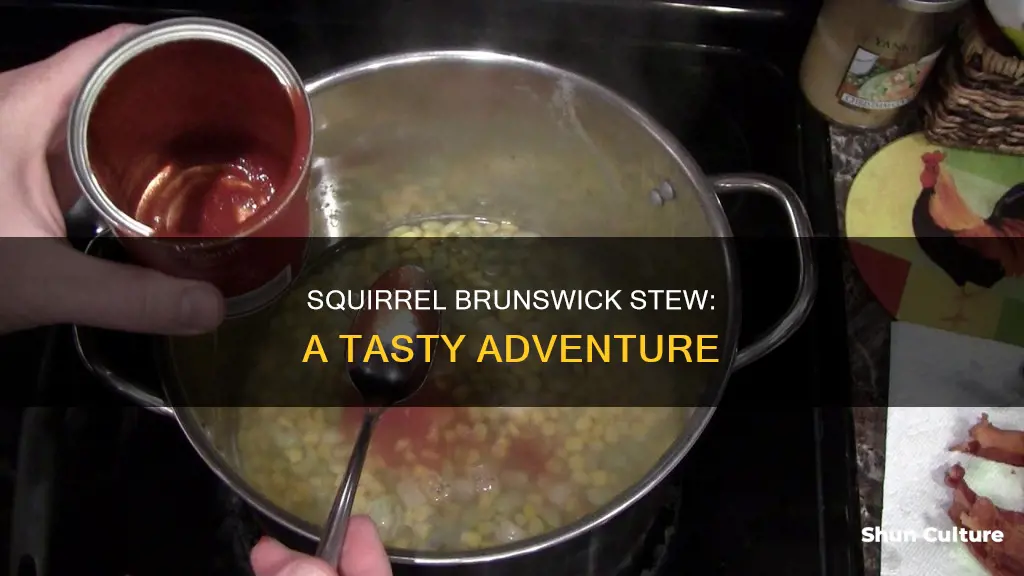 how to make brunswick stew with squirrel