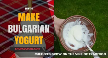 Mastering the Art of Bulgarian Yogurt: A Step-by-Step Guide