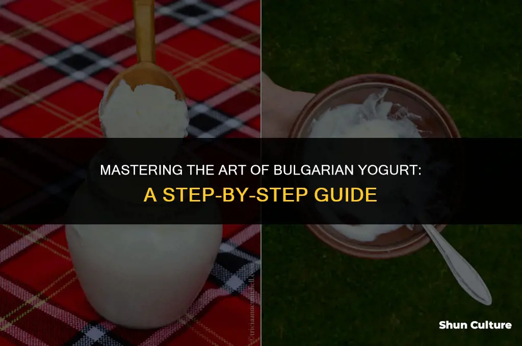 how to make bulgarian yogurt