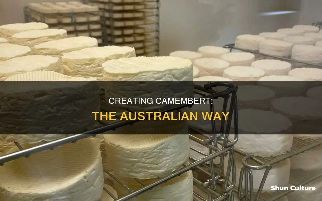 how to make camembert australia