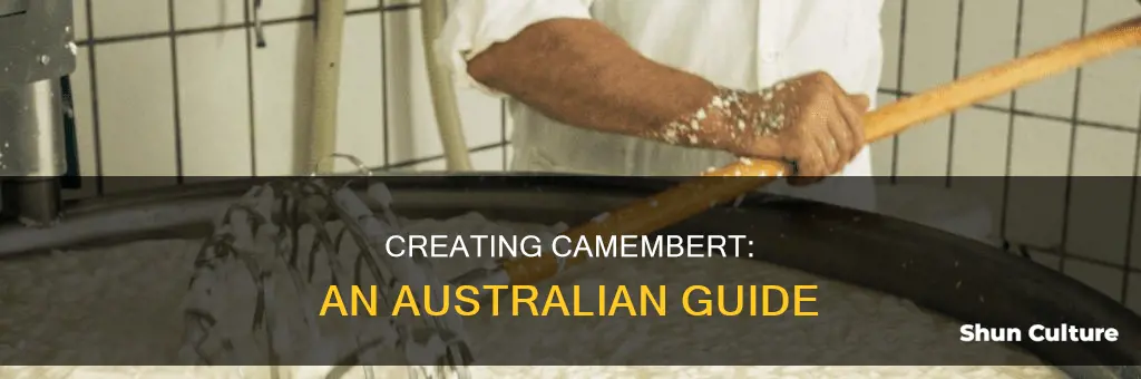 how to make camembert cheese australia