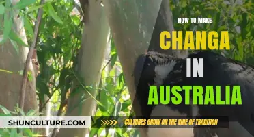 Making Changa: A Guide for Australians