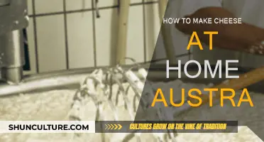 Making Cheese at Home: An Australian Guide