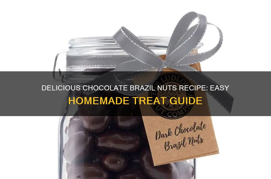 how to make chocolate brazil nuts