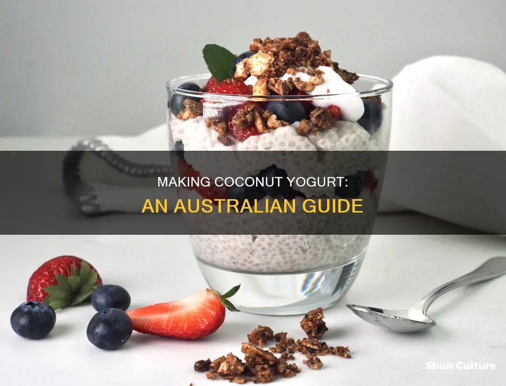 how to make coconut yoghurt australia