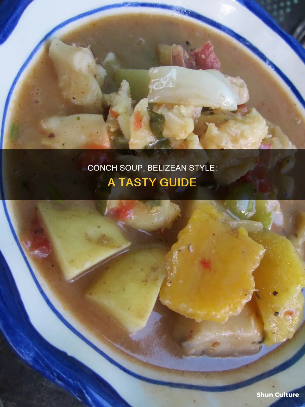 how to make conch soup belizean style