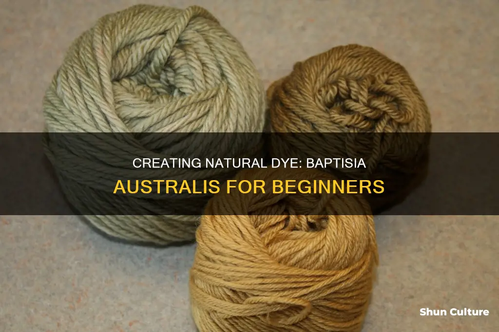 how to make dye from baptisia australis