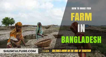 Sustainable Fish Farming in Bangladesh: A Step-by-Step Guide