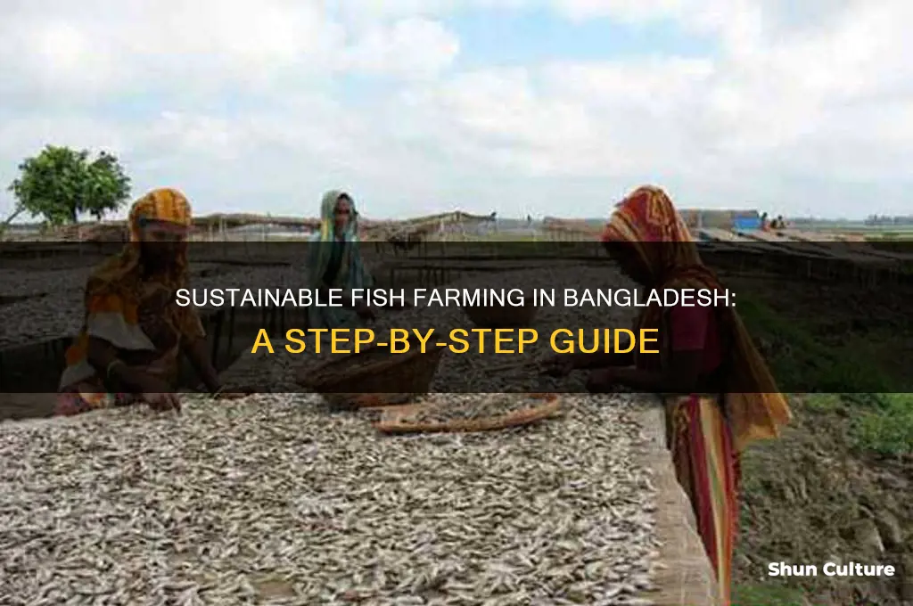 how to make fish farm in bangladesh
