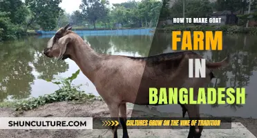 Goat Farming in Bangladesh: A Step-by-Step Guide to Success