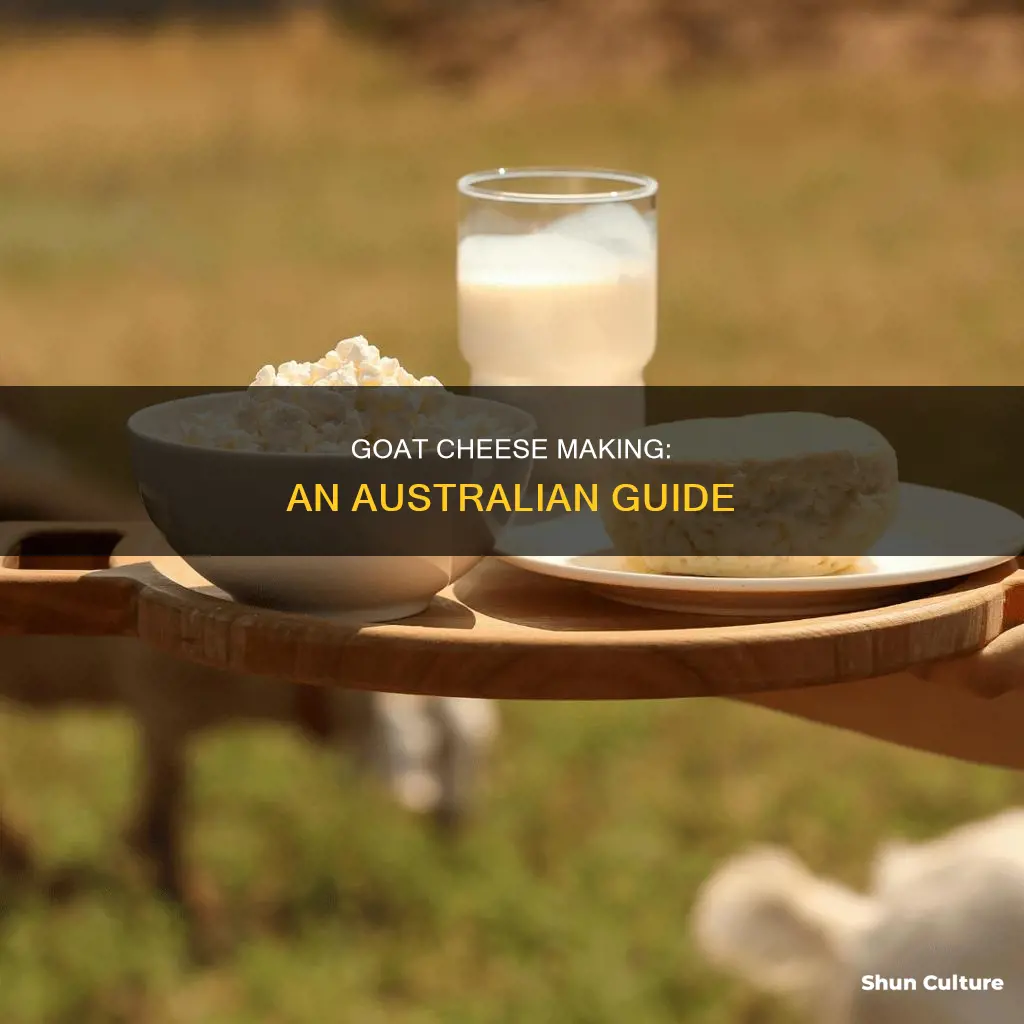 how to make goats cheese australia