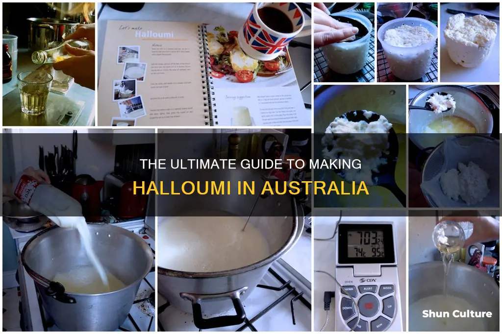 how to make halloumi australia