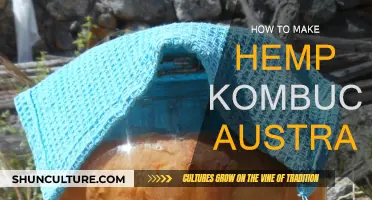 Hemp Kombucha: Australia's DIY Guide