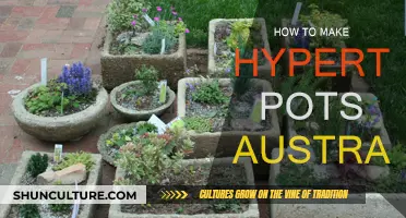 Handcrafting Hypertufa Pots: An Australian Guide