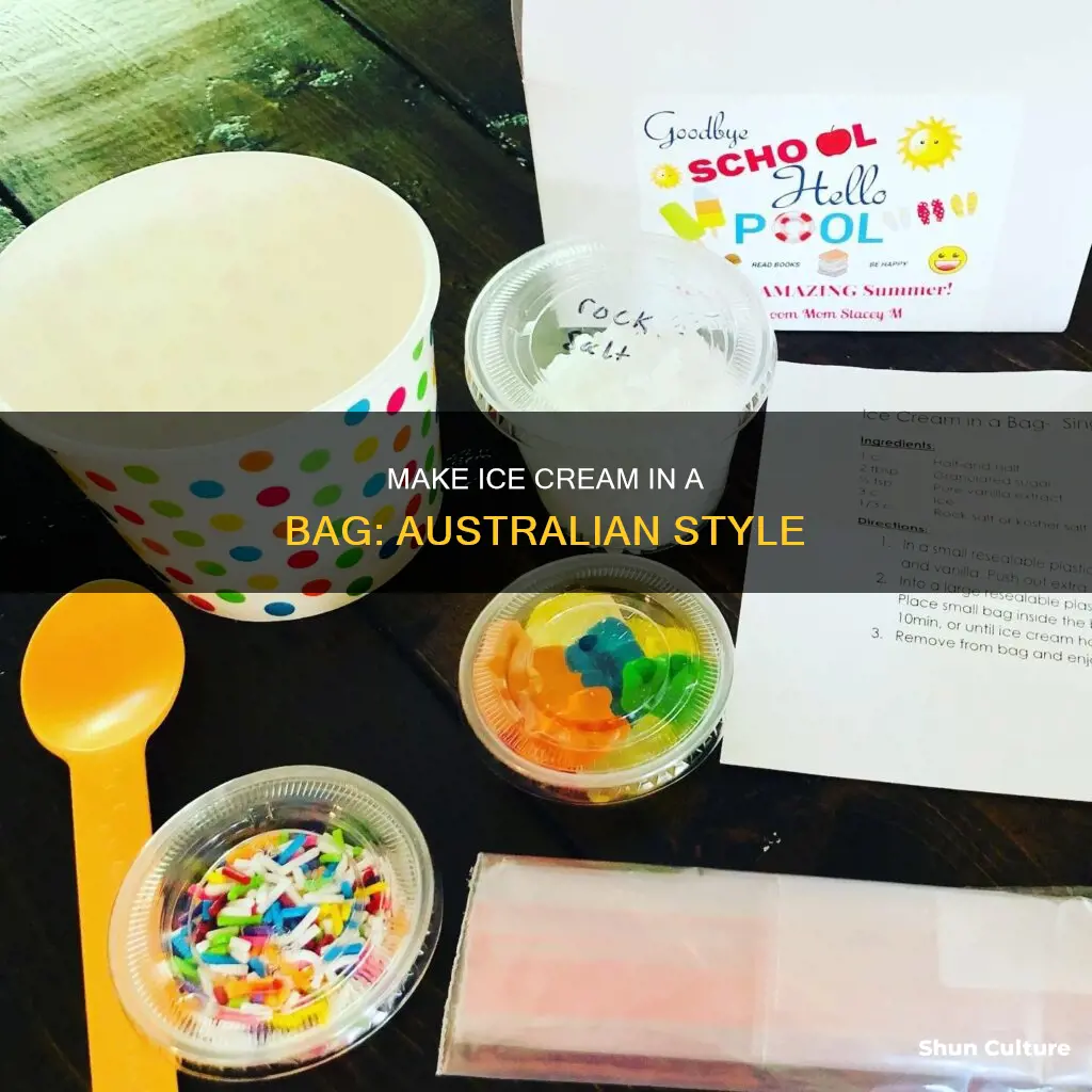 how to make ice cream in a bag ingredients australia