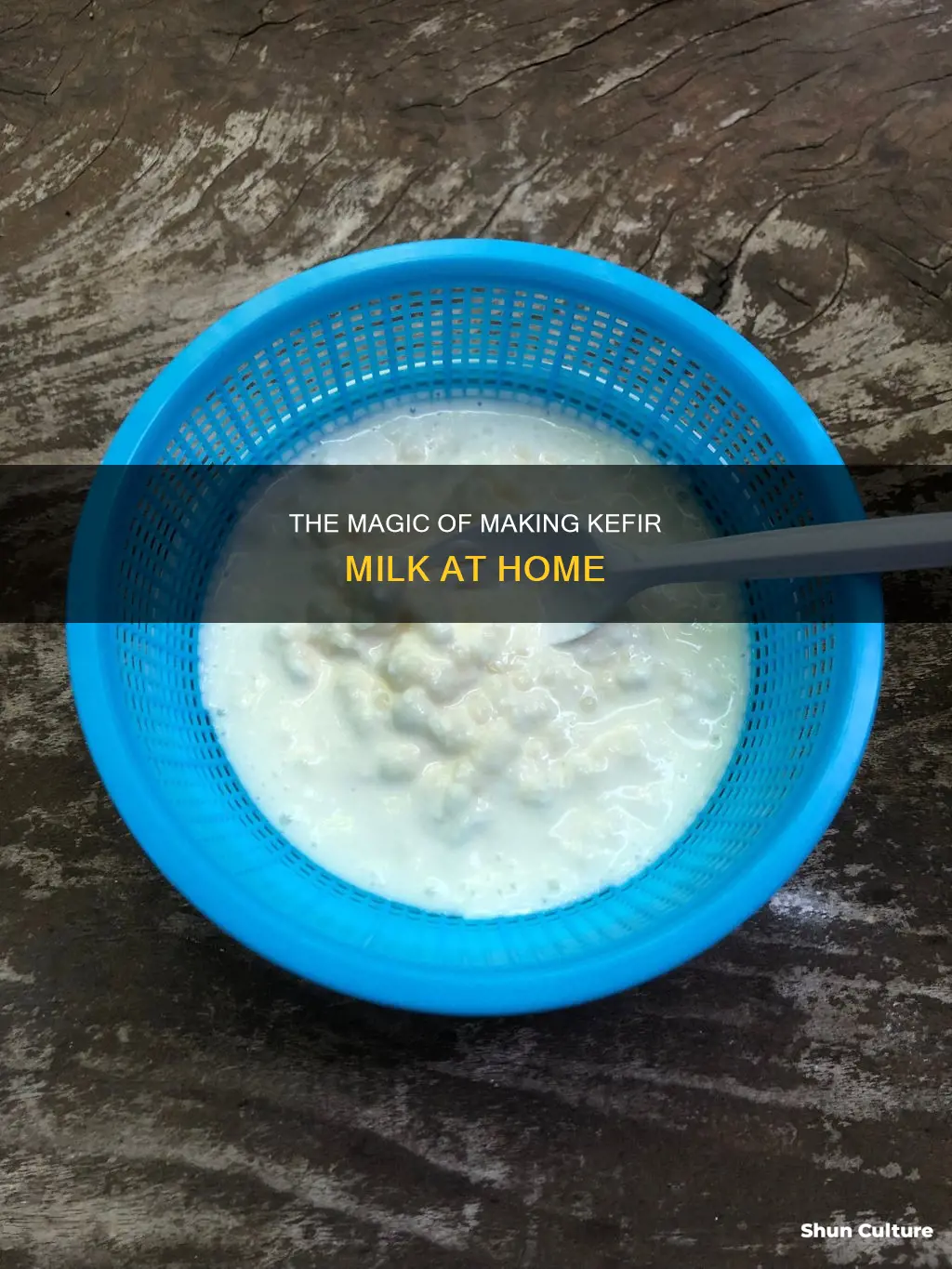 how to make kefir milk australia