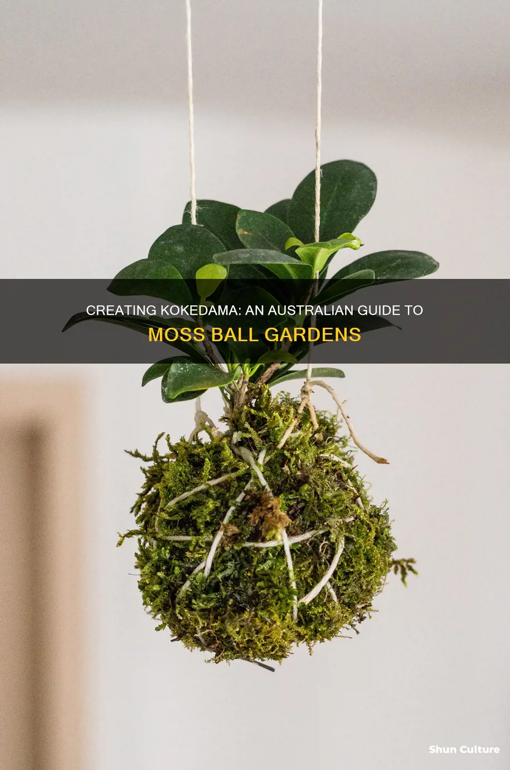 how to make kokedama australia