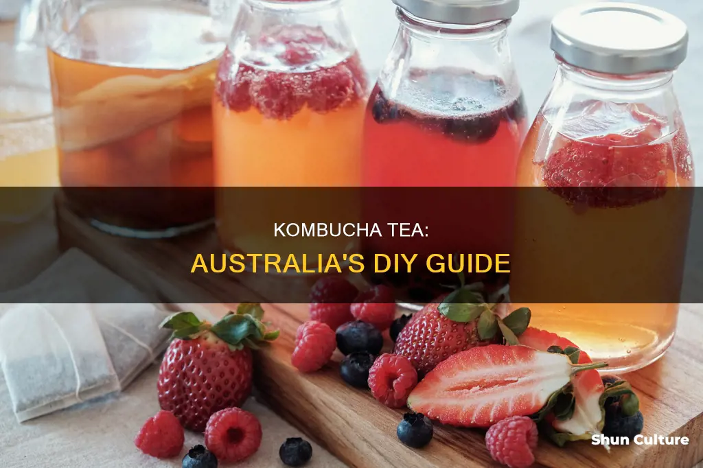 how to make kombucha tea australia