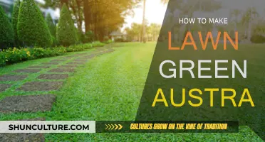 Lush Green Lawns: An Australian Guide