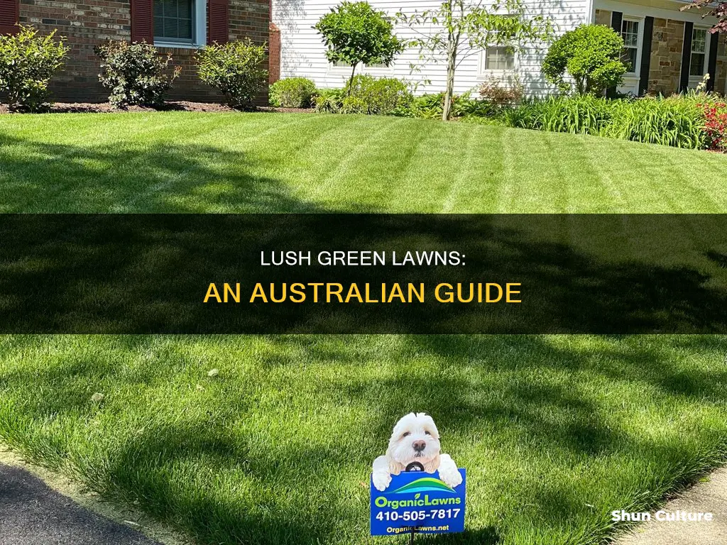 how to make lawn green australia