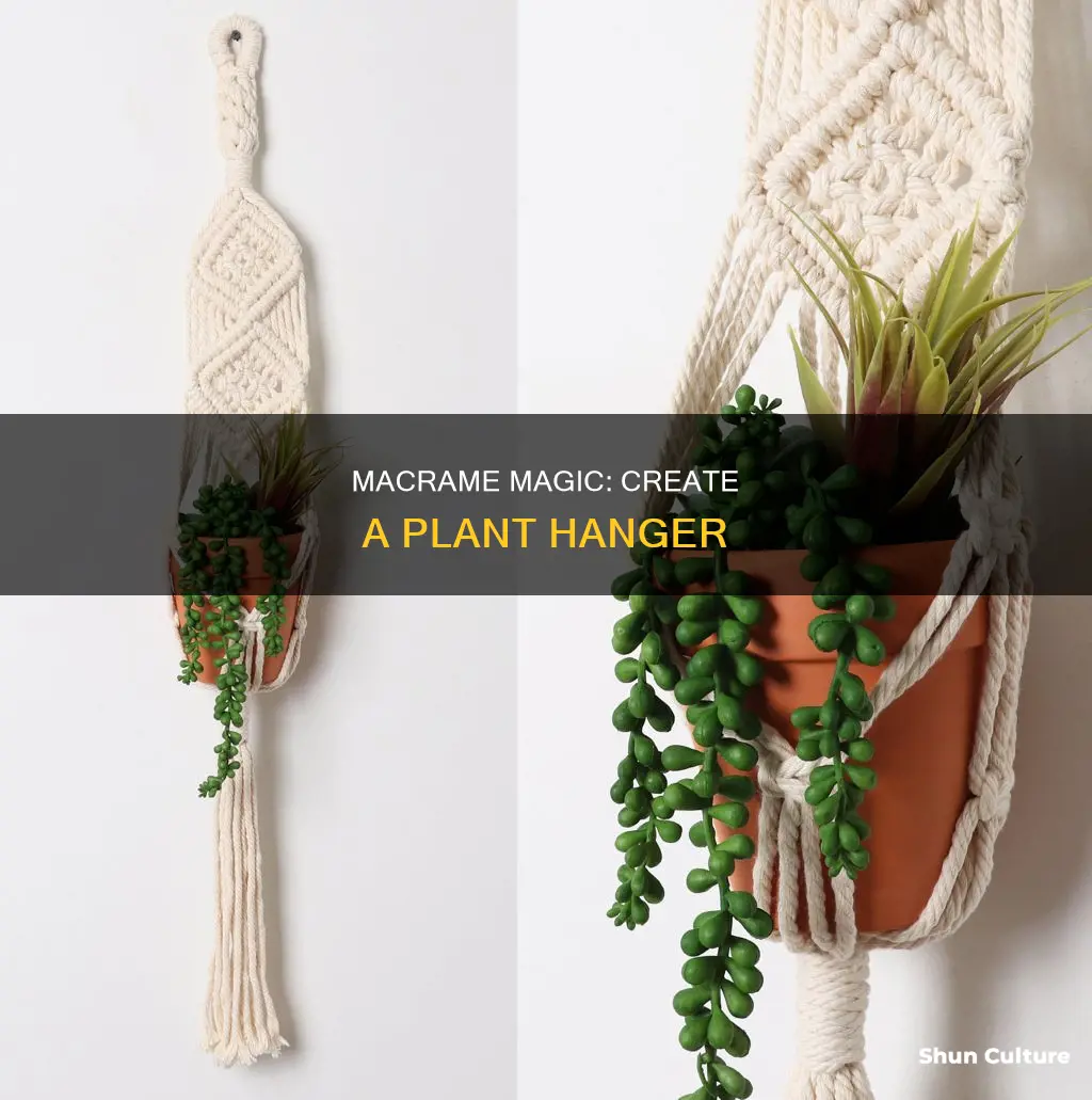 how to make macrame plant hanger australia