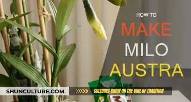 The Perfect Milo: An Australian Guide