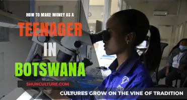Smart Ways for Botswana Teens to Earn Money Easily
