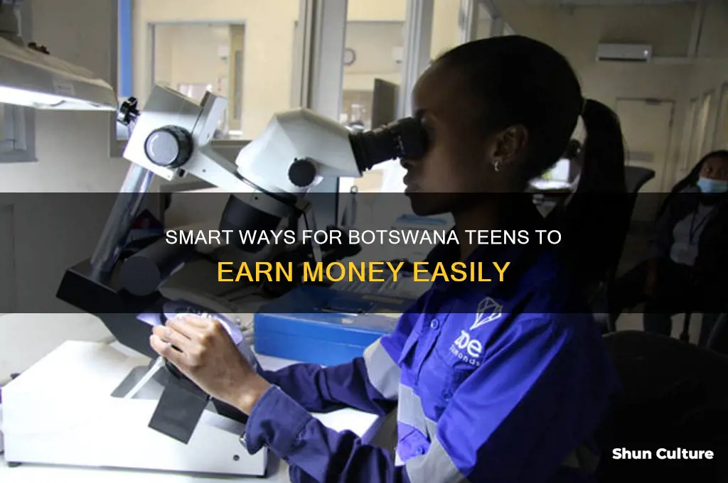 how to make money as a teenager in botswana