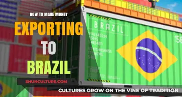 Unlock Profits: A Guide to Exporting Successfully to Brazil