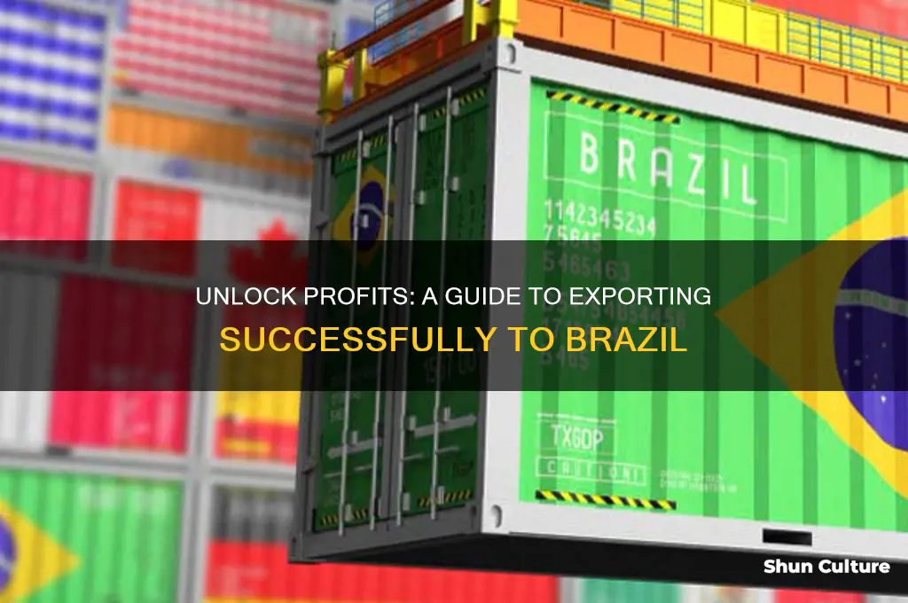 how to make money exporting to brazil