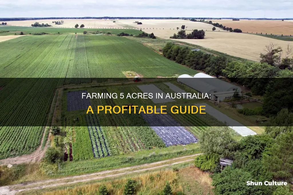 how to make money farming 5 acres in australia