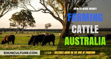 Cattle Farming in Australia: Making Money and Managing a Herd
