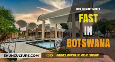 Quick Cash Strategies: Earning Fast Money in Botswana Today