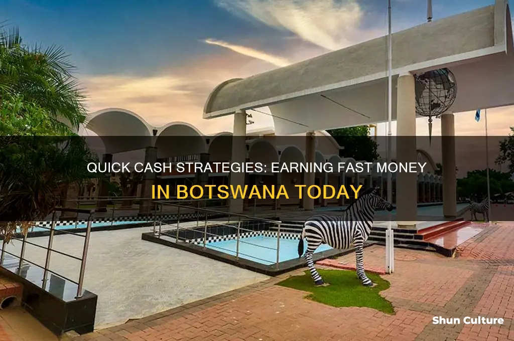 how to make money fast in botswana