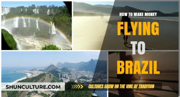 Earn Cash While Exploring: Profitable Tips for Flying to Brazil