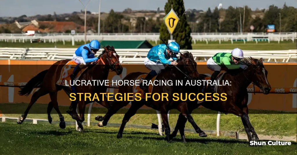 how to make money from horse racing in australia