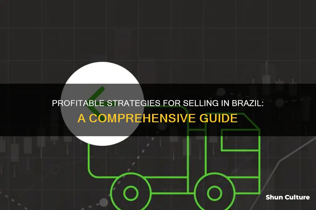 how to make money from selling in brazil