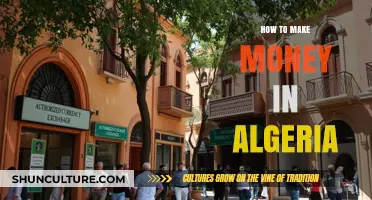 Unlocking Algeria's Wealth: Practical Ways to Earn Money in 2023
